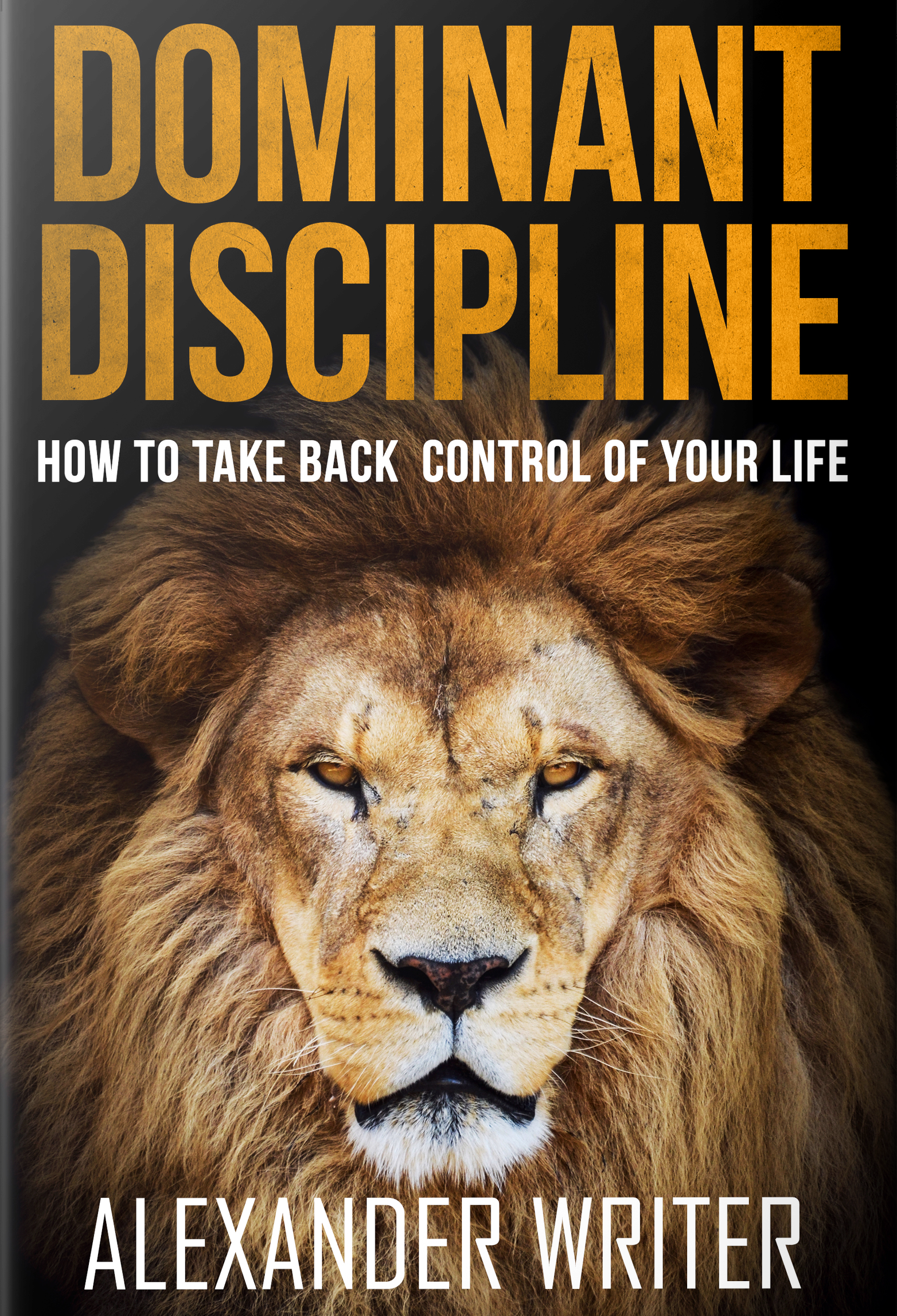 discipline equals freedom epub